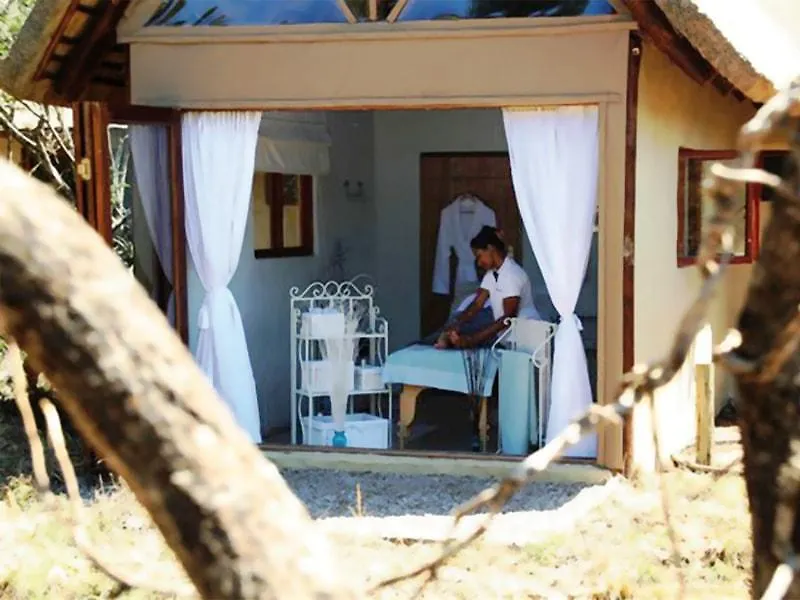 Lodge Bush Lodge- Amakhala Game Reserve Port Elizabeth