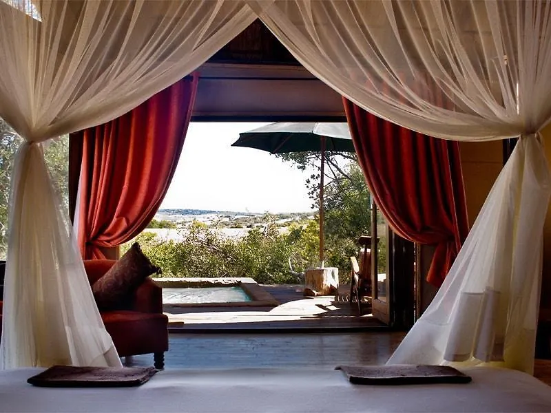Bush Lodge- Amakhala Game Reserve Port Elizabeth South Africa