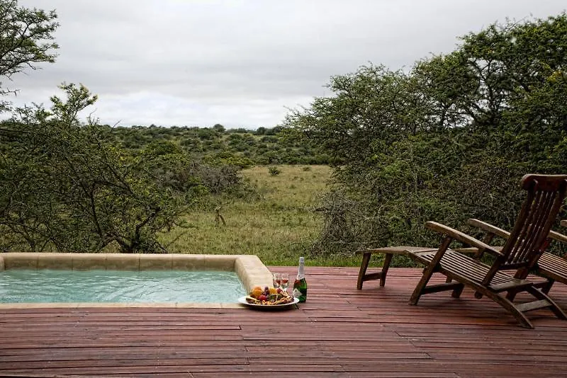 Bush Lodge- Amakhala Game Reserve Port Elizabeth 0*,  South Africa