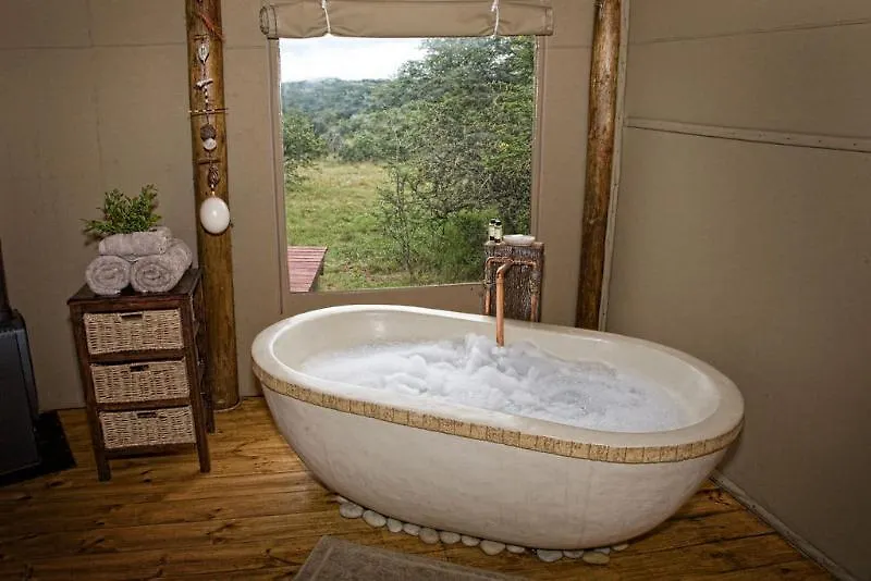 Lodge Bush Lodge- Amakhala Game Reserve Port Elizabeth